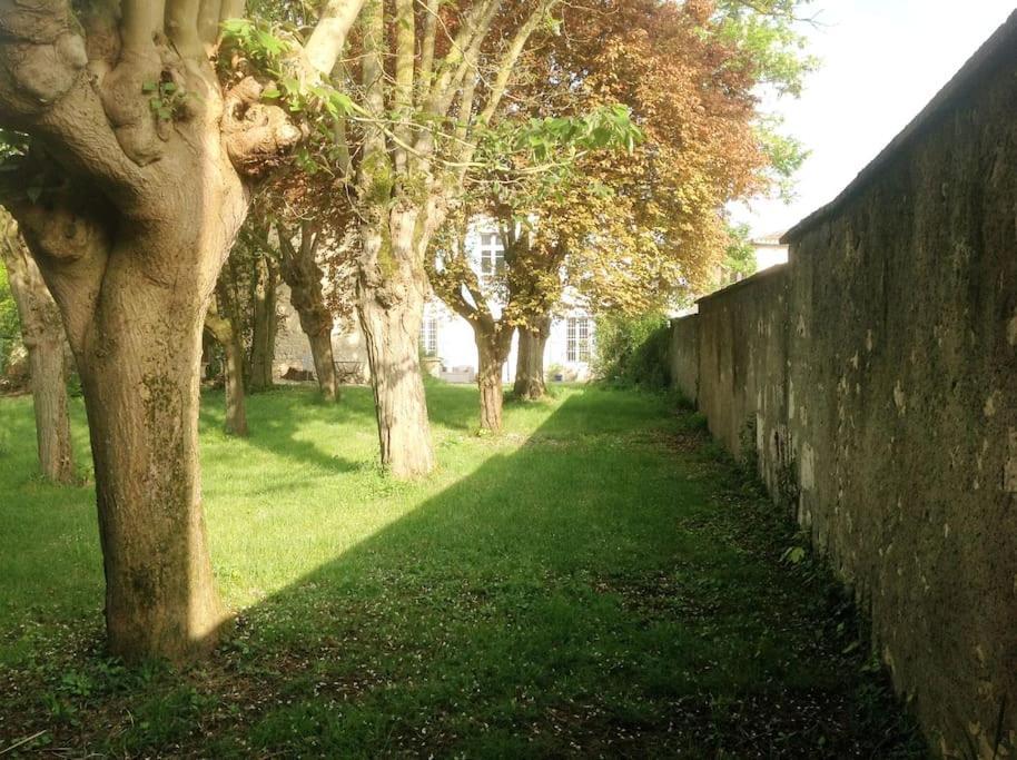 Ancien Presbytere Au Coeur Du Village Mauvezin (Gers)